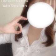 ヒメ日記 2025/06/08 22:14 投稿 白倉優香(しらくらゆうか) Lambretta（ランブレッタ）甲府