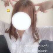 ヒメ日記 2025/06/12 20:14 投稿 白倉優香(しらくらゆうか) Lambretta（ランブレッタ）甲府