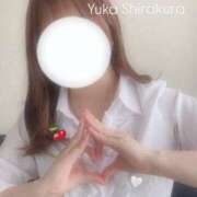 ヒメ日記 2025/06/28 23:24 投稿 白倉優香(しらくらゆうか) Lambretta（ランブレッタ）甲府