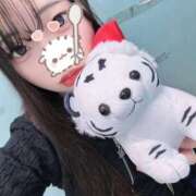 かな しゅっきん🐯 学園collection