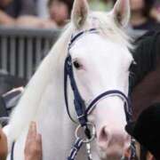 ヒメ日記 2026/01/07 12:56 投稿 ほまれ 京都の痴女鉄道