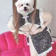 ヒメ日記 2025/06/07 18:30 投稿 桜もも 水戸ソープ アイドル彼女