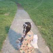 ヒメ日記 2025/07/05 15:01 投稿 桜もも 水戸ソープ アイドル彼女