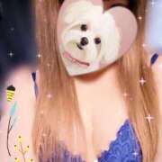 ヒメ日記 2025/05/30 11:48 投稿 アキ 煌-kirameki-