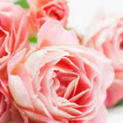 ヒメ日記 2025/06/02 14:26 投稿 アキ 煌-kirameki-