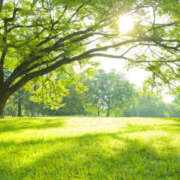 アキ お誘い待ち♪ 煌-kirameki-