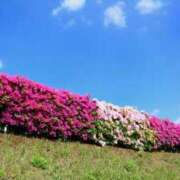 ヒメ日記 2026/04/24 13:24 投稿 アキ 煌-kirameki-