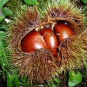 ヒメ日記 2025/10/09 01:27 投稿 小山まゆみ ワイフコレクション