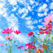 ヒメ日記 2025/11/04 10:06 投稿 小山まゆみ ワイフコレクション