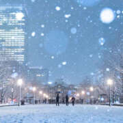 ヒメ日記 2026/03/10 21:04 投稿 小山まゆみ ワイフコレクション