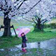 ヒメ日記 2026/03/31 19:16 投稿 小山まゆみ ワイフコレクション