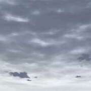 ヒメ日記 2026/04/01 11:49 投稿 小山まゆみ ワイフコレクション