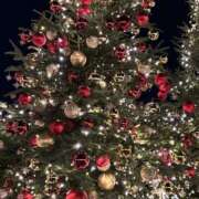 ヒメ日記 2025/11/30 15:48 投稿 きりか クラブハート