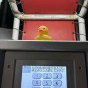 ヒメ日記 2026/02/09 06:48 投稿 きりか クラブハート