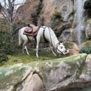 ヒメ日記 2026/04/05 19:50 投稿 しの スピードエコ天王寺店