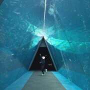 いおり 出勤🎀次回14:20〜🈳✨ 大和人妻城