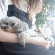 ヒメ日記 2025/06/15 10:06 投稿 かの 町田人妻城