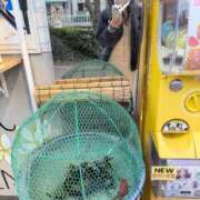 ヒメ日記 2026/03/24 17:08 投稿 かの 町田人妻城