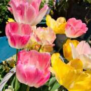 ヒメ日記 2025/07/05 16:22 投稿 芹沼  澪果 MADAM RENA 名古屋