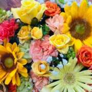 ヒメ日記 2025/08/03 08:02 投稿 芹沼  澪果 MADAM RENA 名古屋