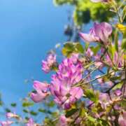 ヒメ日記 2025/08/15 08:02 投稿 芹沼  澪果 MADAM RENA 名古屋