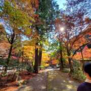 ヒメ日記 2025/08/20 08:12 投稿 芹沼  澪果 MADAM RENA 名古屋