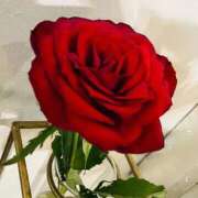 ヒメ日記 2025/08/28 15:02 投稿 芹沼  澪果 MADAM RENA 名古屋