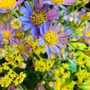 ヒメ日記 2025/09/21 12:22 投稿 芹沼  澪果 MADAM RENA 名古屋