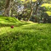 ヒメ日記 2025/10/26 12:22 投稿 芹沼  澪果 MADAM RENA 名古屋