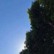 ヒメ日記 2025/10/28 10:03 投稿 芹沼  澪果 MADAM RENA 名古屋