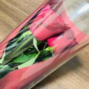 ヒメ日記 2025/10/29 17:02 投稿 芹沼  澪果 MADAM RENA 名古屋