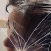 ヒメ日記 2025/12/19 08:22 投稿 芹沼  澪果 MADAM RENA 名古屋