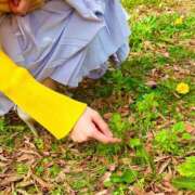 ヒメ日記 2026/03/03 08:12 投稿 芹沼  澪果 MADAM RENA 名古屋