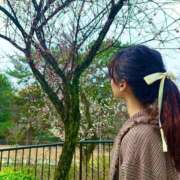 ヒメ日記 2026/03/05 19:22 投稿 芹沼  澪果 MADAM RENA 名古屋