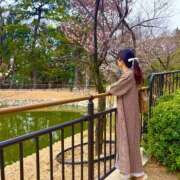 ヒメ日記 2026/03/07 08:22 投稿 芹沼  澪果 MADAM RENA 名古屋