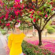 ヒメ日記 2026/03/07 20:12 投稿 芹沼  澪果 MADAM RENA 名古屋