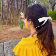 ヒメ日記 2026/03/08 12:02 投稿 芹沼  澪果 MADAM RENA 名古屋