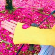 ヒメ日記 2026/03/14 07:02 投稿 芹沼  澪果 MADAM RENA 名古屋