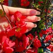 ヒメ日記 2026/03/15 13:02 投稿 芹沼  澪果 MADAM RENA 名古屋