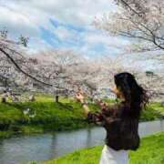 ヒメ日記 2026/04/02 18:12 投稿 芹沼  澪果 MADAM RENA 名古屋