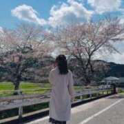 ヒメ日記 2026/04/03 07:22 投稿 芹沼  澪果 MADAM RENA 名古屋