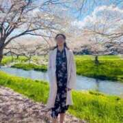 ヒメ日記 2026/04/04 09:22 投稿 芹沼  澪果 MADAM RENA 名古屋