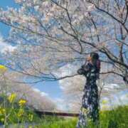 ヒメ日記 2026/04/04 21:12 投稿 芹沼  澪果 MADAM RENA 名古屋