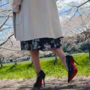 ヒメ日記 2026/04/06 08:22 投稿 芹沼  澪果 MADAM RENA 名古屋