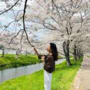 ヒメ日記 2026/04/16 21:12 投稿 芹沼  澪果 MADAM RENA 名古屋