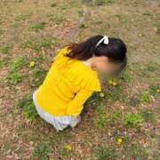 ヒメ日記 2026/04/17 18:02 投稿 芹沼  澪果 MADAM RENA 名古屋