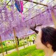 ヒメ日記 2026/04/24 08:22 投稿 芹沼  澪果 MADAM RENA 名古屋