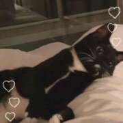 ヒメ日記 2025/11/23 17:29 投稿 涼風愛莉(すずかぜあいり) 九州熟女　熊本店