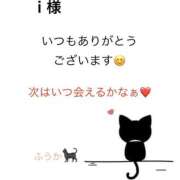 ヒメ日記 2025/06/19 17:41 投稿 ふうか 諭吉で2度ヌキ！