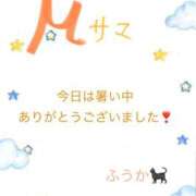 ヒメ日記 2025/07/15 22:05 投稿 ふうか 諭吉で2度ヌキ！